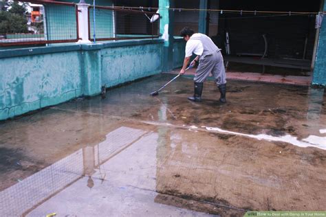 dampllps|Damp Definition & Meaning .